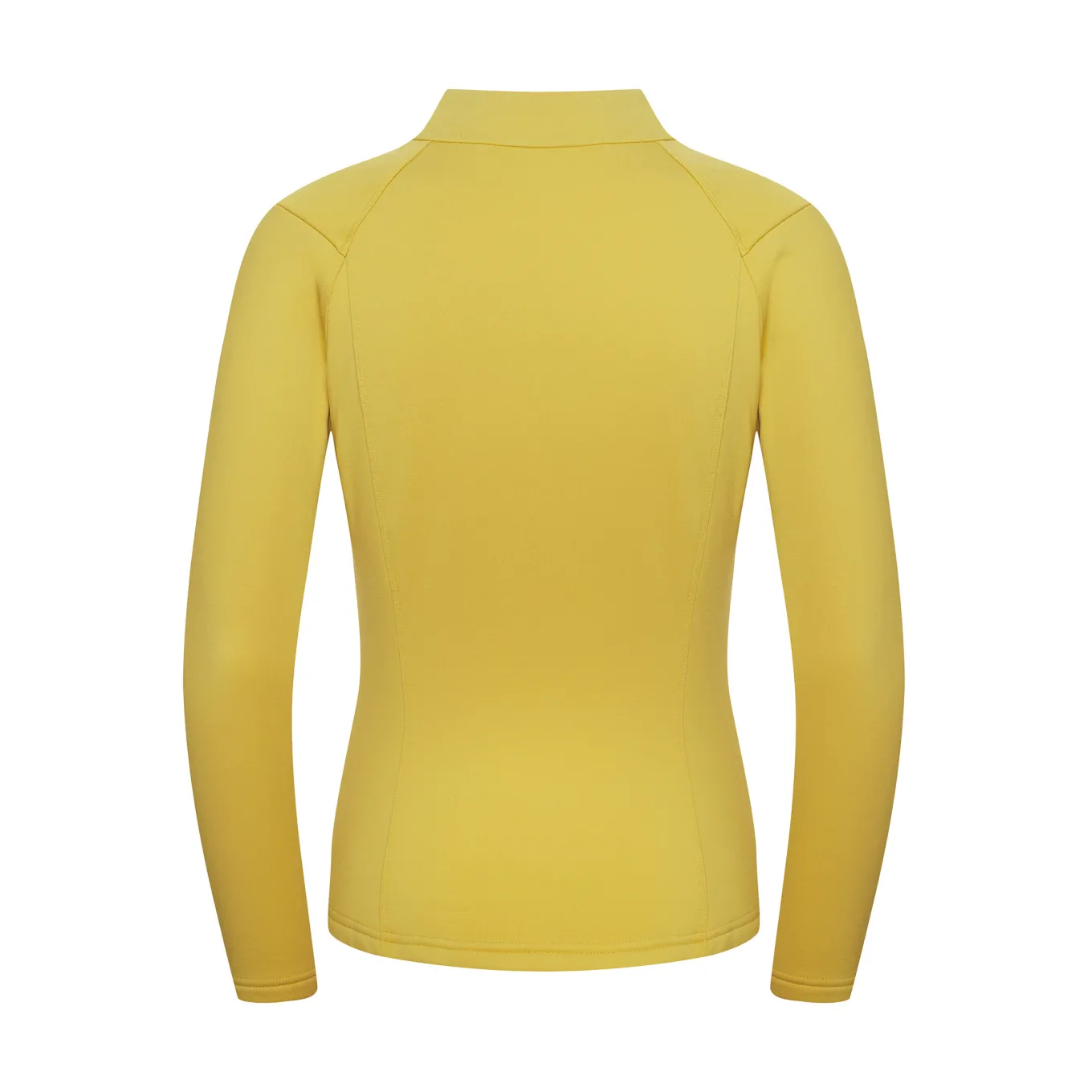 Fjord Nansen Bluzy|Bluza VIK 1/4 ZIP WOMEN amber yellow
