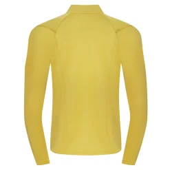 Fjord Nansen Bluzy|Bluza VIK FULL ZIP MEN amber yellow