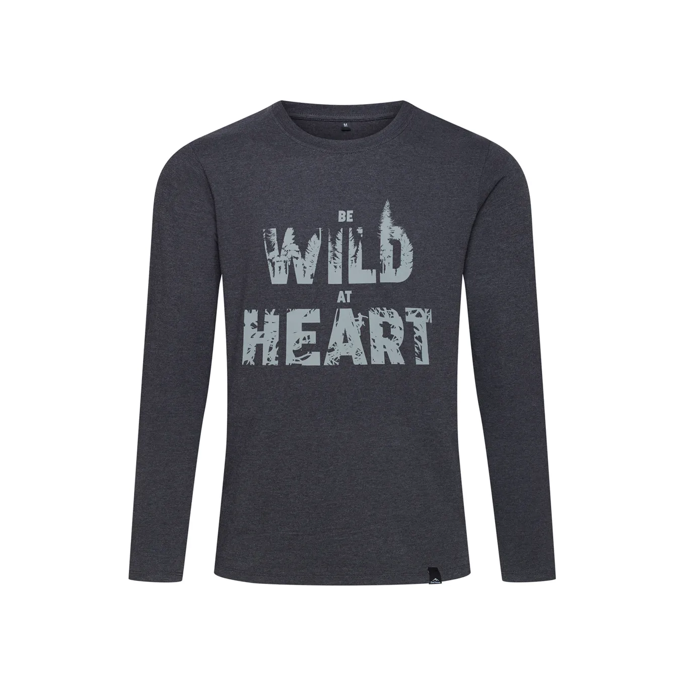 Fjord Nansen Koszulki|Koszulka BWAH LONGSLEEVE graphite melange