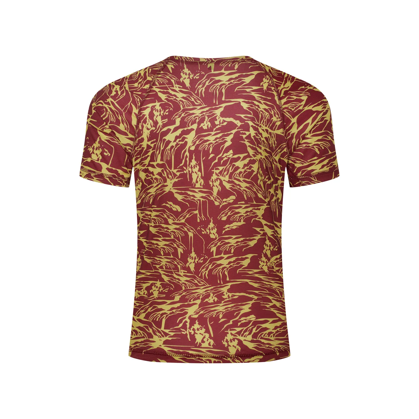Fjord Nansen Koszulki|Bielizna|Koszulka RIX PRINT T-SHIRT MEN lava